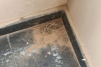 ರೈಸ್ ಮಿಲ್ ಧೂಳಿನಿಂದ ಸಾರ್ವಜನಿಕರಿಗೆ ತೊಂದರೆ: ಕ್ರಮ ಕೈಗೊಳ್ಳುವಂತೆ ತಹಸೀಲ್ದಾರರಿಗೆ ಮನವಿ