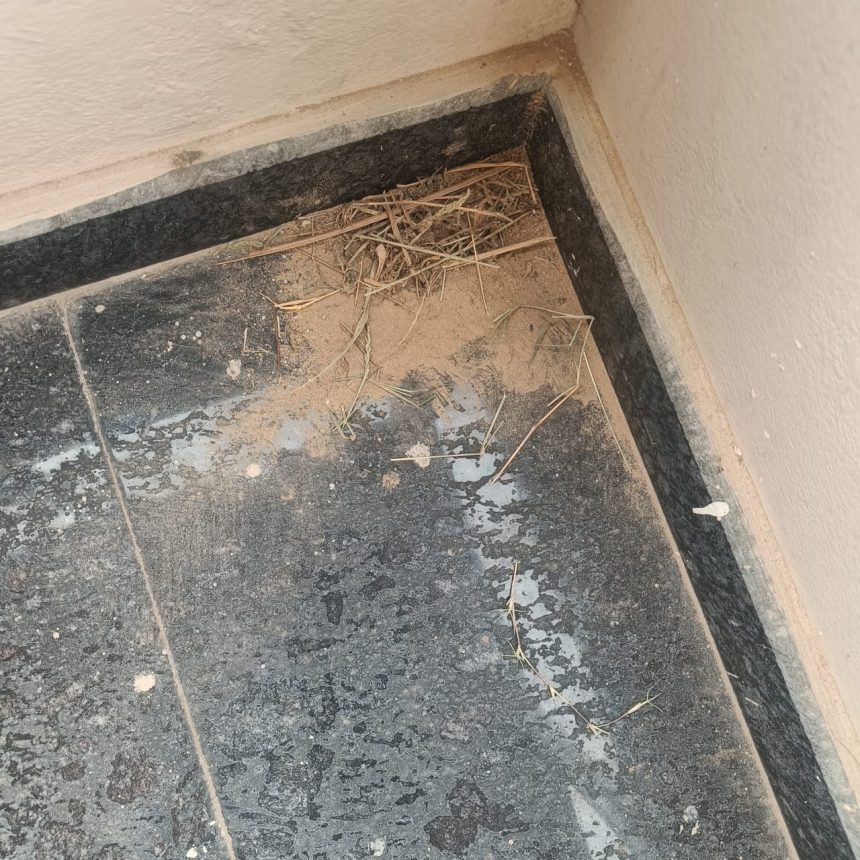 ರೈಸ್ ಮಿಲ್ ಧೂಳಿನಿಂದ ಸಾರ್ವಜನಿಕರಿಗೆ ತೊಂದರೆ: ಕ್ರಮ ಕೈಗೊಳ್ಳುವಂತೆ ತಹಸೀಲ್ದಾರರಿಗೆ ಮನವಿ ರೈಸ್ ಮಿಲ್ ಧೂಳಿನಿಂದ ಸಾರ್ವಜನಿಕರಿಗೆ ತೊಂದರೆ: ಕ್ರಮ ಕೈಗೊಳ್ಳುವಂತೆ ತಹಸೀಲ್ದಾರರಿಗೆ ಮನವಿ