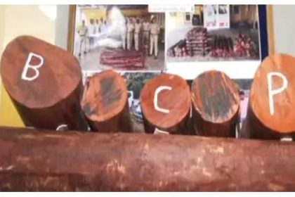 ರಕ್ತಚಂದನ ಅಕ್ರಮ ಸಾಗಾಟ : 1889 ಕೆಜಿ ರಕ್ತಚಂದನ ವಶಕ್ಕೆ, ನಾಲ್ವರು ಅರೆಸ್ಟ್ 