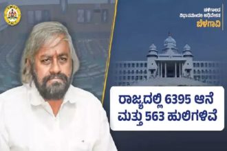ರಾಜ್ಯದಲ್ಲಿ 6,395 ಆನೆಗಳು ಮತ್ತು 563 ಹುಲಿಗಳಿವೆ : ಸಚಿವ ಖಂಡ್ರೆ ಮಾಹಿತಿ 