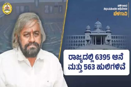 ರಾಜ್ಯದಲ್ಲಿ 6,395 ಆನೆಗಳು ಮತ್ತು 563 ಹುಲಿಗಳಿವೆ : ಸಚಿವ ಖಂಡ್ರೆ ಮಾಹಿತಿ 