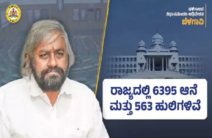ರಾಜ್ಯದಲ್ಲಿ 6,395 ಆನೆಗಳು ಮತ್ತು 563 ಹುಲಿಗಳಿವೆ : ಸಚಿವ ಖಂಡ್ರೆ ಮಾಹಿತಿ 