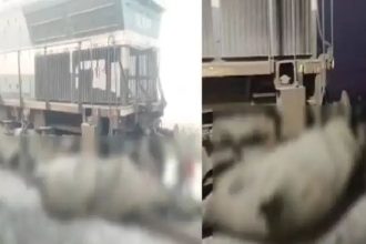 ಹಳಿ ದಾಟುತ್ತಿದ ಆನೆಗಳಿಗೆ ರೈಲು ಡಿಕ್ಕಿ : 7 ಆನೆಗಳು ಸಾವು, ಹಳಿ ತಪ್ಪಿದ ಬೋಗಿಗಳು 