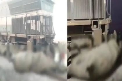 ಹಳಿ ದಾಟುತ್ತಿದ ಆನೆಗಳಿಗೆ ರೈಲು ಡಿಕ್ಕಿ : 7 ಆನೆಗಳು ಸಾವು, ಹಳಿ ತಪ್ಪಿದ ಬೋಗಿಗಳು 