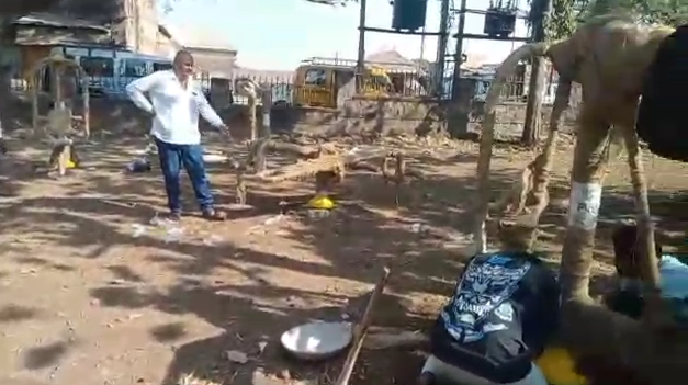 ಲೋಕಮಾನ್ಯ ತಿಳಕ್ ಗಾರ್ಡನ್ ನಲ್ಲಿ ಓಪನ್ ಜಿಮ್ ಉಪಕರಣಗಳ ಸ್ಥಾಪನೆ