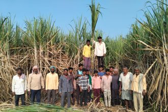  ಬೀರೇಶ್ವರ ಕಬ್ಬಿನ ಗ್ಯಾಂಗಿನ ಕಬ್ಬು ಹೇರಿ ಮೆಚ್ಚುಗೆ ಪಾತ್ರನಾದ ನಾಮದೇವ ಘಾಟಗೆ