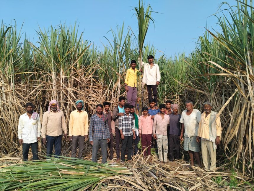  ಬೀರೇಶ್ವರ ಕಬ್ಬಿನ ಗ್ಯಾಂಗಿನ ಕಬ್ಬು ಹೇರಿ ಮೆಚ್ಚುಗೆ ಪಾತ್ರನಾದ ನಾಮದೇವ ಘಾಟಗೆ