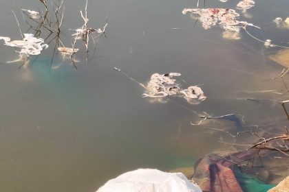 ಶೇರ್ ಖಾನ್ ಕೋಟೆ ಕೆರೆಗೆ ಕೋಳಿ ತ್ಯಾಜ್ಯ: ಕಲುಷಿತಗೊಂಡ ಜಲಮೂಲ, ಗ್ರಾಮಸ್ಥರಲ್ಲಿ ಆತಂಕ