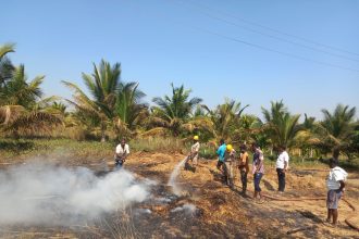ಆಕಸ್ಮಿಕ ಬೆಂಕಿ ಅನಾಹುತ : ಹುಲ್ಲಿನ ಬಣವೆ ಭಸ್ಮ