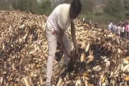 60 ಲಕ್ಷ ಮೌಲ್ಯದ ಮೆಕ್ಕೆಜೋಳ ಬೆಂಕಿ ಹಚ್ಚಿದ ದುಷ್ಟರು : ಮೆಕ್ಕೆಜೋಳಕ್ಕೆ ಜಿಗಿದು ಆತ್ಮಹತ್ಯೆಗೆ ಯತ್ನಿಸಿದ ಕುಟುಂಬ