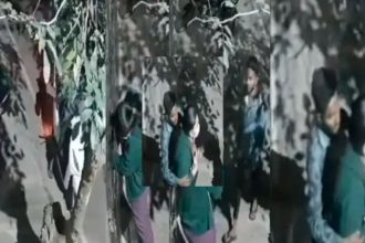 ಪಿಜಿ ಮುಂದೆ ನಿಂತ ವೈದ್ಯೆಗೆ ಲೈಂಗಿಕ ದೌರ್ಜನ್ಯ ಕಿರುಕುಳ : ಬೀದಿ ಕಾಮುಕ ಅರೆಸ್ಟ್ 