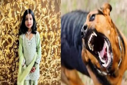 ಬಾಗಲಕೋಟೆಯಲ್ಲಿ ಬೀದಿ ನಾಯಿ ದಾಳಿಗೆ ಬಾಲಕಿ ಬಲಿ