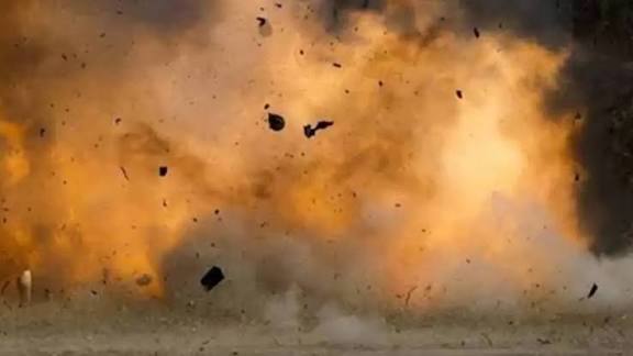 ನಾಡ ಭಾಂಬ್ ಸ್ಫೋಟ: ಎತ್ತುಗಳು ಸ್ಥಳದಲ್ಲೇ ಸಾವು