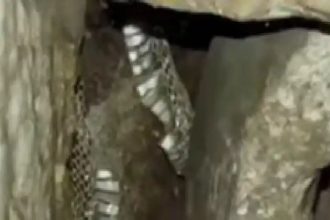 ಲಕ್ಕುಂಡಿಯಲ್ಲಿ ದೇವಸ್ಥಾನದ ಗರ್ಭಗುಡಿಯಲ್ಲಿ ಬೃಹತ್ ನಾಗರಹಾವಿನ ಪೊರೆ ಪತ್ತೆ