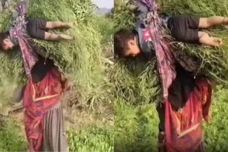 ಮೇವಿನ ಹೊರೆಯಲ್ಲಿ ತನ್ನ ಪುಟ್ಟ ಕಂದಮ್ಮನನ್ನು ಸೇರಿ ಕಟ್ಟಿ ಹೊತ್ತುಕೊಂಡು ಹೋದ ಮಹಿಳೆ