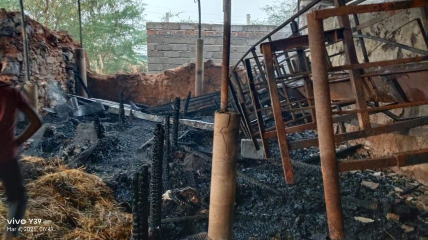 ಆಕಸ್ಮಿಕವಾಗಿ ಕುರಿದೊಡ್ಡಿಯಲ್ಲಿ ಬೆಂಕಿ ಅವಘಡ : 30 ಕುರಿಗಳ ಸಜೀಹ ದಹನ