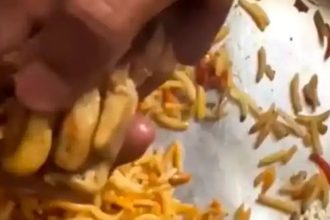 ಆನ್‌ಲೈನ್ ಬಿರಿಯಾನಿ ಆರ್ಡರ್ ಮಾಡಿದ ಗ್ರಾಹಕನಿಗೆ ಸಿಕ್ಕಿದ್ದು ನಾಯಿ ಕಾಲು