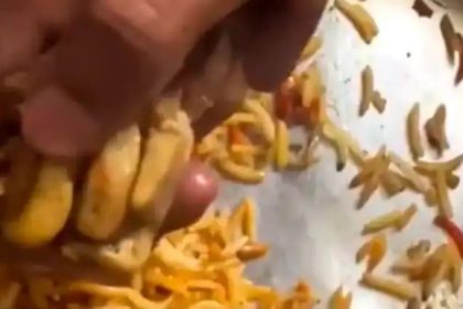 ಆನ್‌ಲೈನ್ ಬಿರಿಯಾನಿ ಆರ್ಡರ್ ಮಾಡಿದ ಗ್ರಾಹಕನಿಗೆ ಸಿಕ್ಕಿದ್ದು ನಾಯಿ ಕಾಲು