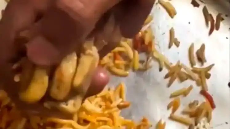 ಆನ್‌ಲೈನ್ ಬಿರಿಯಾನಿ ಆರ್ಡರ್ ಮಾಡಿದ ಗ್ರಾಹಕನಿಗೆ ಸಿಕ್ಕಿದ್ದು ನಾಯಿ ಕಾಲು