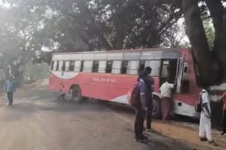 ಅಡ್ಡಬಂದ ಕಾರು ತಪ್ಪಿಸಲು ಹೋಗಿ ಮರಕ್ಕೆ ಡಿಕ್ಕಿಯಾದ ಬಸ್ : 11 ಪ್ರಯಾಣಿಕರಿಗೆ ಗಾಯ