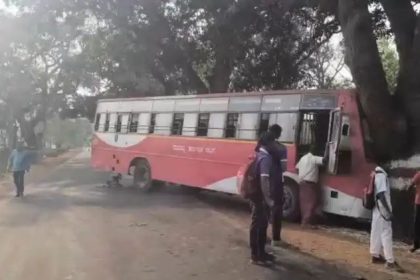 ಅಡ್ಡಬಂದ ಕಾರು ತಪ್ಪಿಸಲು ಹೋಗಿ ಮರಕ್ಕೆ ಡಿಕ್ಕಿಯಾದ ಬಸ್ : 11 ಪ್ರಯಾಣಿಕರಿಗೆ ಗಾಯ