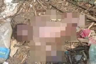 ನವಜಾತ ಶಿಶುವನ್ನು ಕಸದ ತೊಟ್ಟಿಯಲ್ಲಿ ಎಸೆದು ಹೋದ ತಾಯಿ : ಎಳೆದಾಡಿ ಕಚ್ಚಿ ಕೊಂದ ನಾಯಿಗಳು