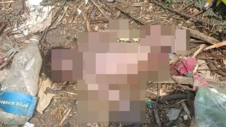 ನವಜಾತ ಶಿಶುವನ್ನು ಕಸದ ತೊಟ್ಟಿಯಲ್ಲಿ ಎಸೆದು ಹೋದ ತಾಯಿ : ಎಳೆದಾಡಿ ಕಚ್ಚಿ ಕೊಂದ ನಾಯಿಗಳು